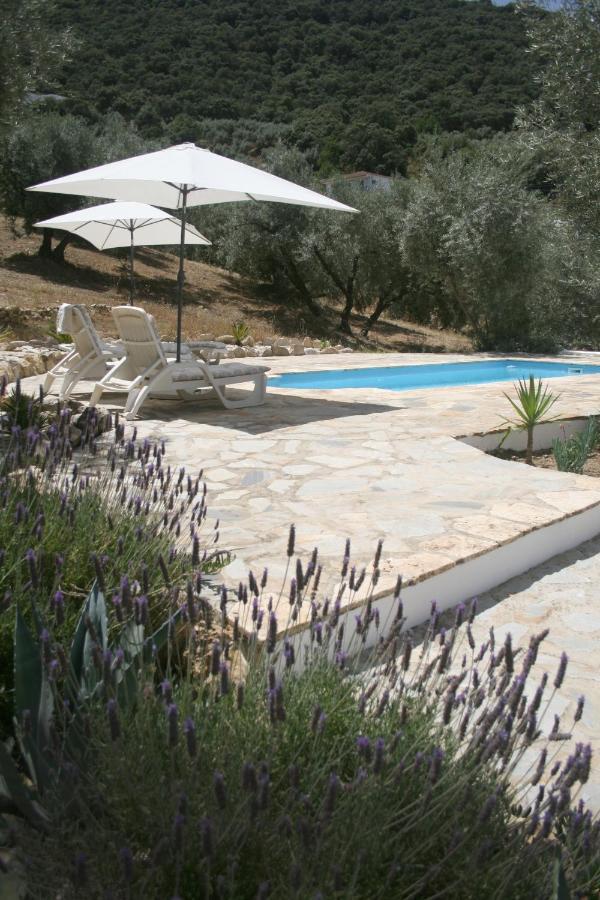 La Pluma Hotel Iznájar Exterior foto